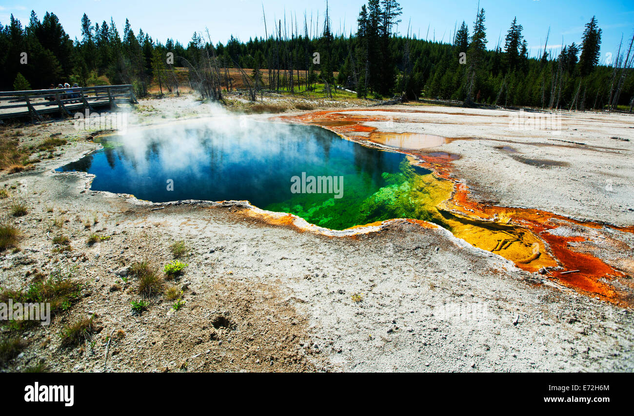 Geothermal springs in Yellowstone National  Park. Stock Photo