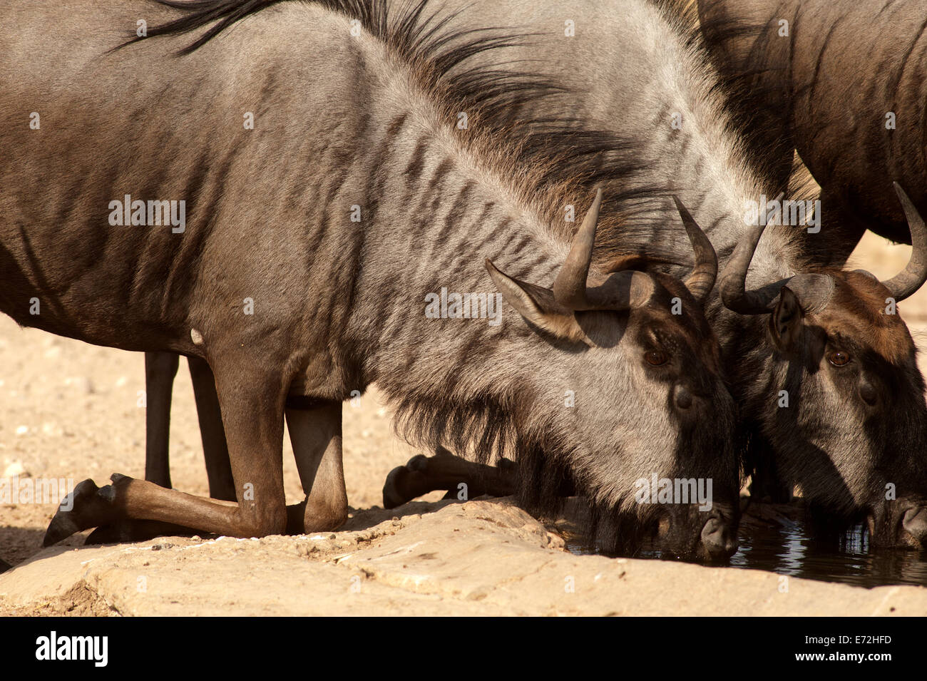 authentic imagery Stock Photo