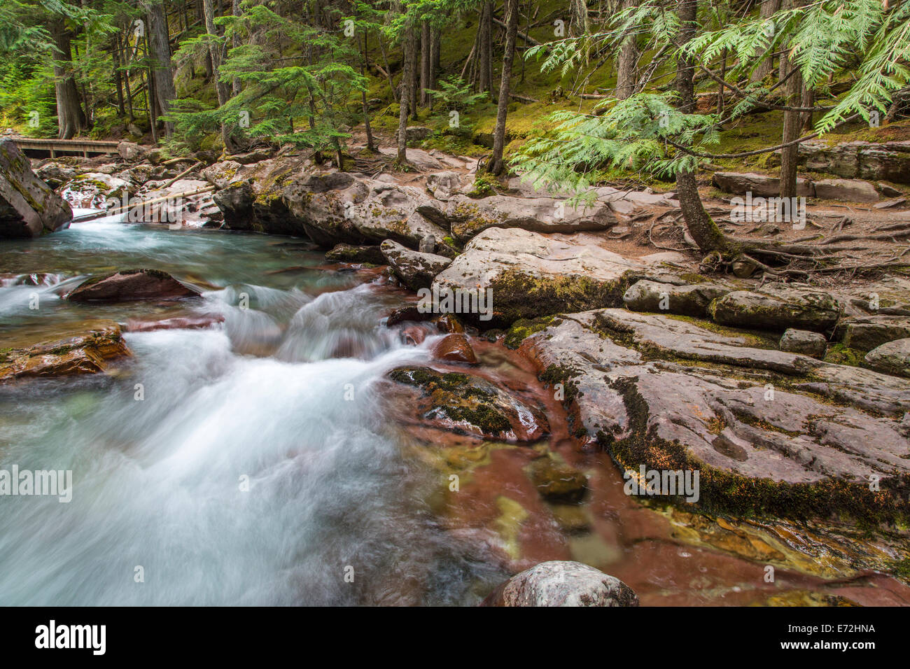 Avalanche Creek In Glacier National Park Montana USA Stock Photo Alamy avalanche-creek-in-glacier-national-park-montana-usa-stock-photo-alamy