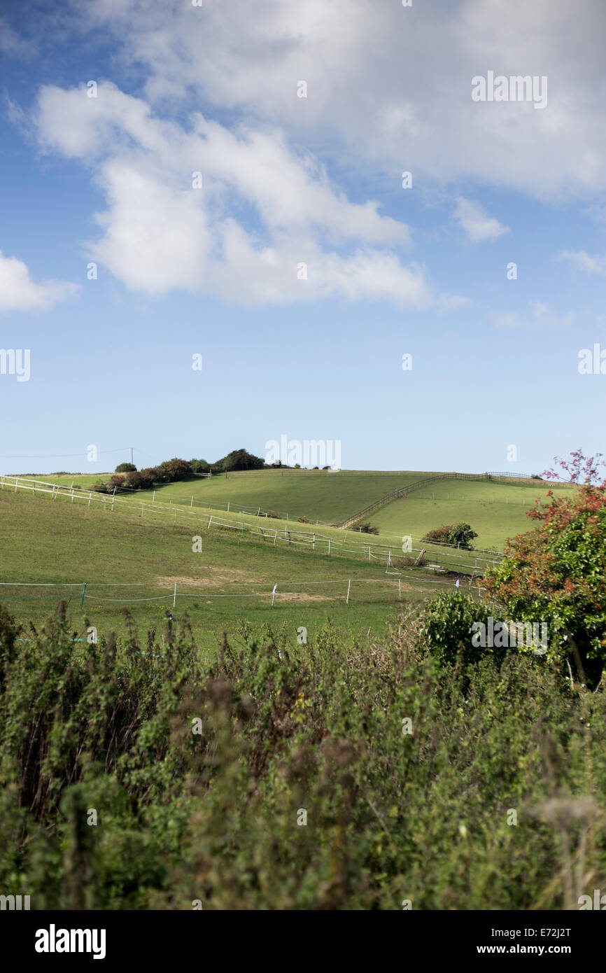 The rolling lush green countryside of Preston near Weymouth, Dorset UK Stock Photo