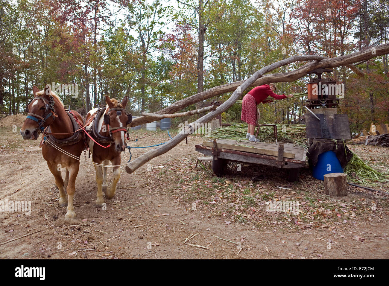 Horse driven mill hi-res stock photography and images - Alamy Horse driven mill hi-res stock photography and images - Alamy