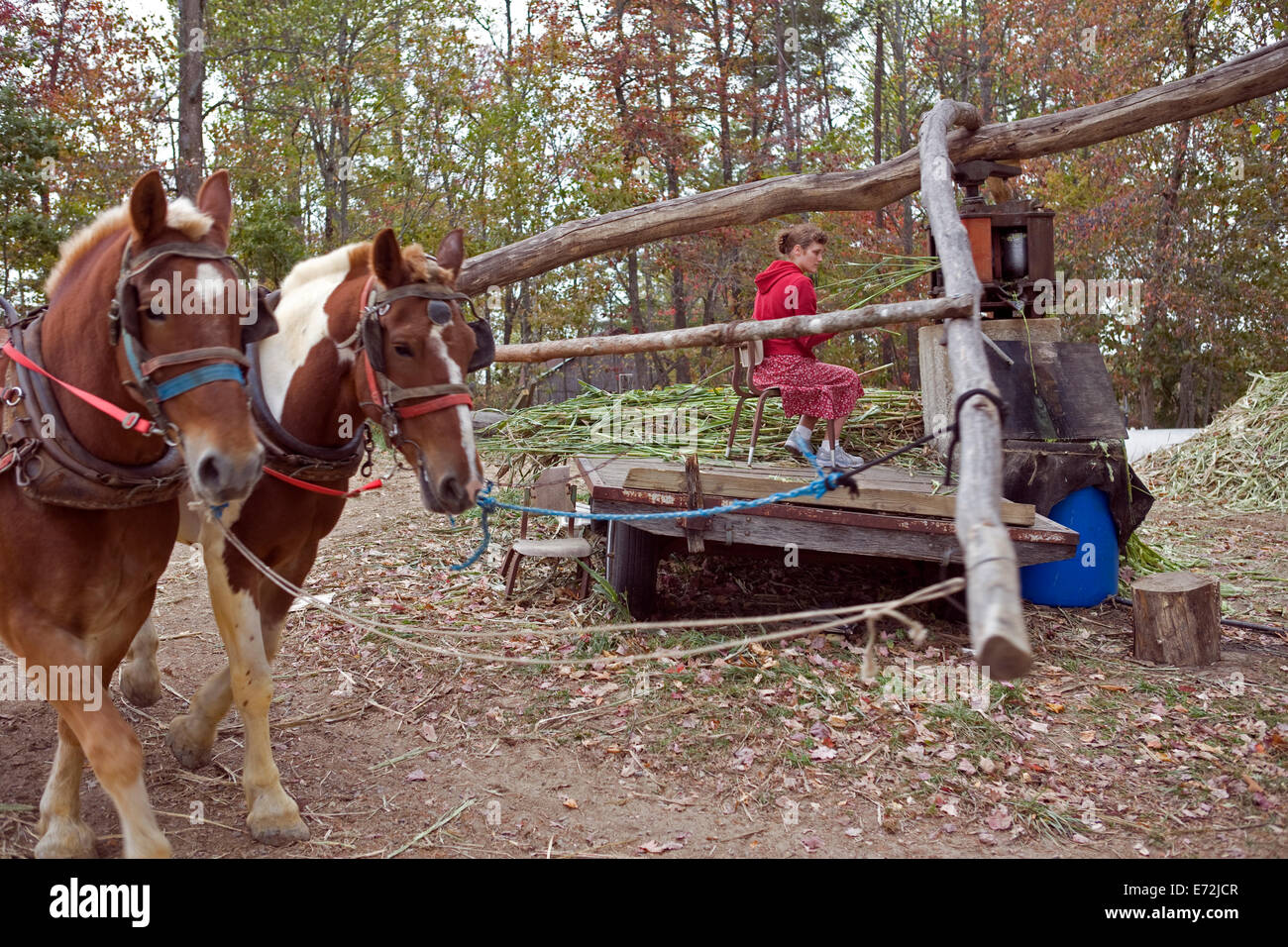 Horse powered mill hi-res stock photography and images - Alamy Horse powered mill hi-res stock photography and images - Alamy