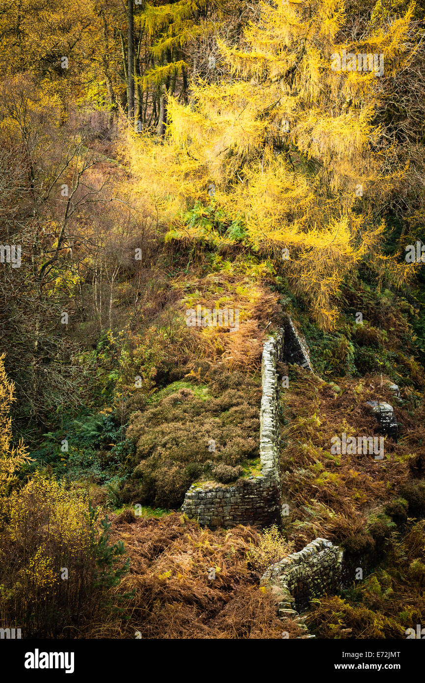 Riding wood reservoir near Holmfirth in West Yorkshire autumn colours old stone wall Stock Photo