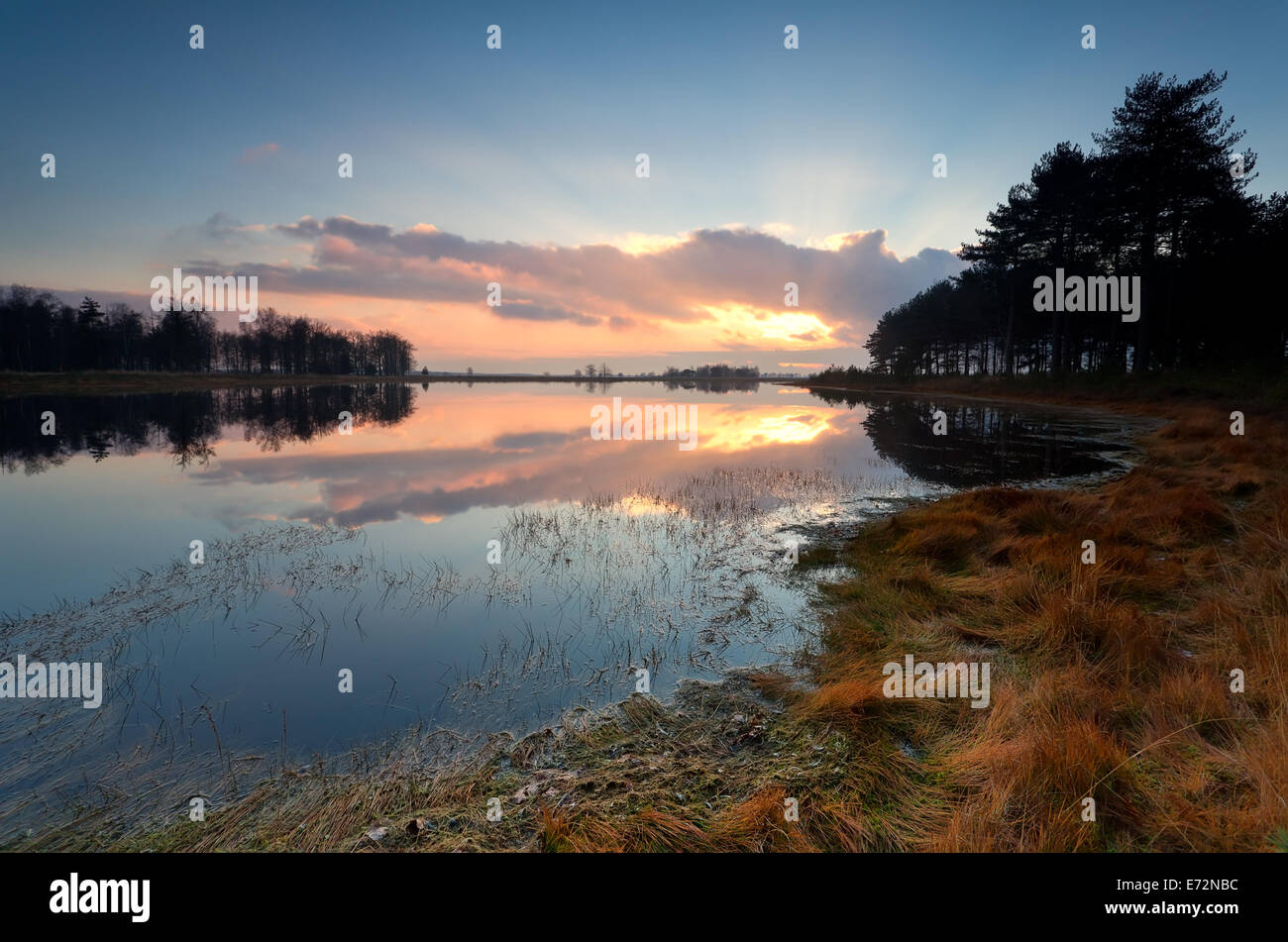 autumn sunset over wild lake, Dwingelderveld, Netherlands Stock Photo ...