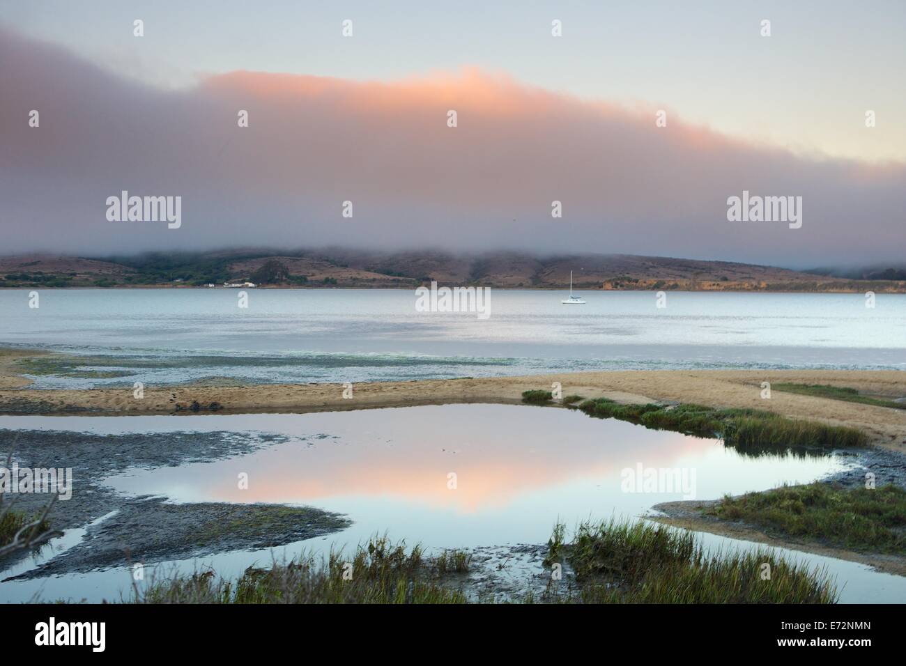 Wetland marshes in Tomales Bay in Point Reyes National Seashore, Marin