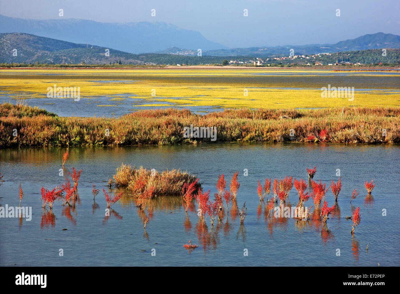 The wetland of Kommeno, Ambracian ('Amvrakikos') gulf, Arta, Epirus, Greece. Stock Photo