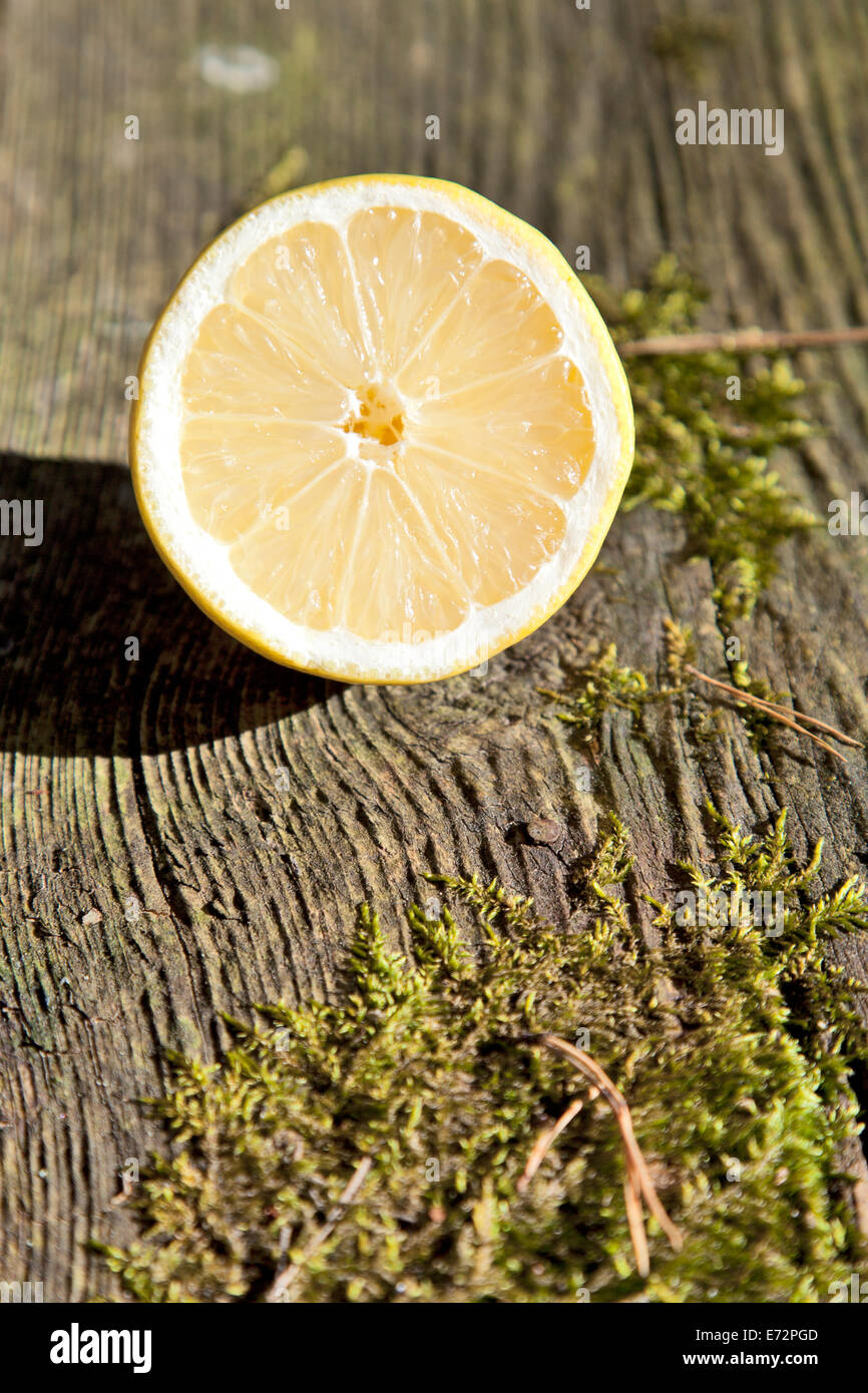 Lemon fruit on nature wooden background Stock Photo