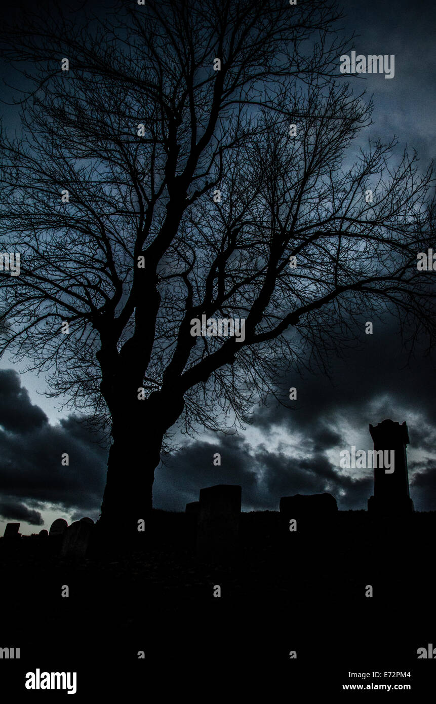 Cemetery tree with headstones Stock Photo - Alamy