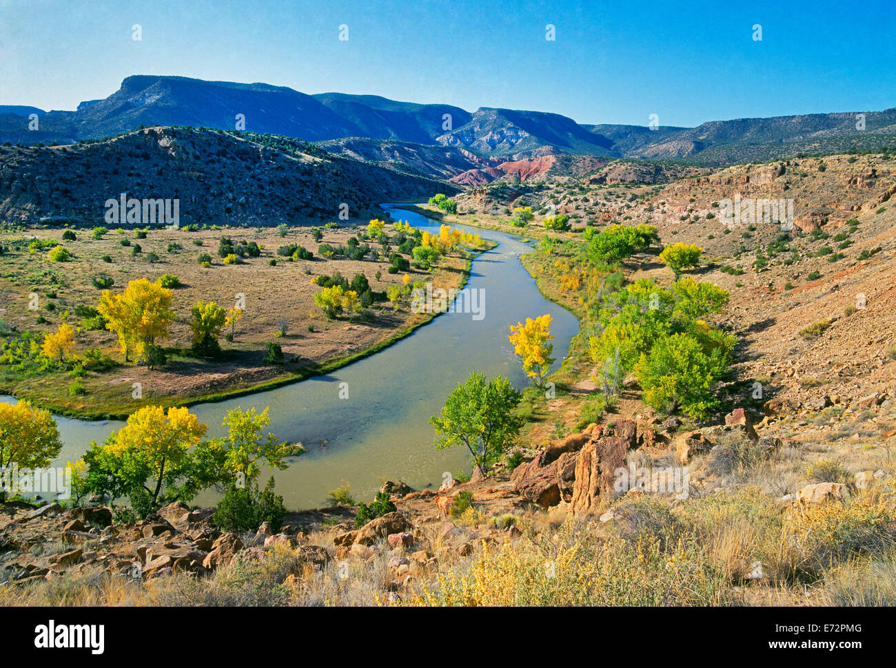 Autumn along the Chama River in northern New Mexico.  Artist Georgia O'Keeffe, who lived a few miles south, often painted the scene. Stock Photo