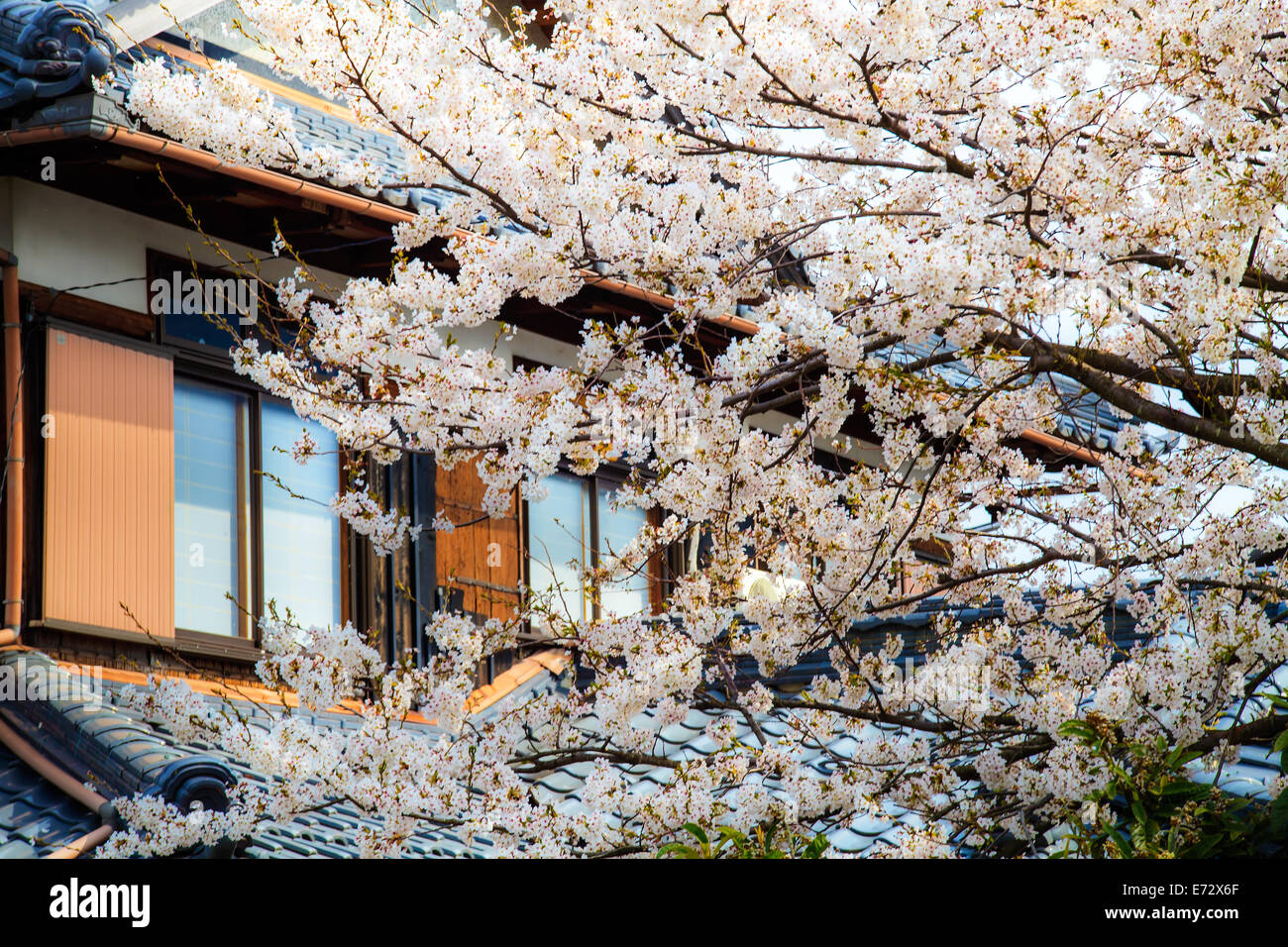 Biwa Lake Hi Res Stock Photography And Images Page 3 Alamy