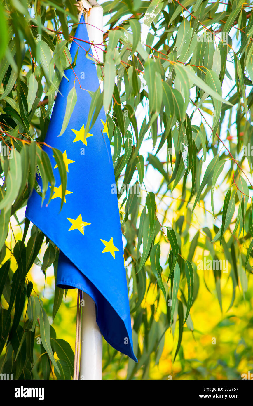 EU flag among the leaves of the tree Stock Photo