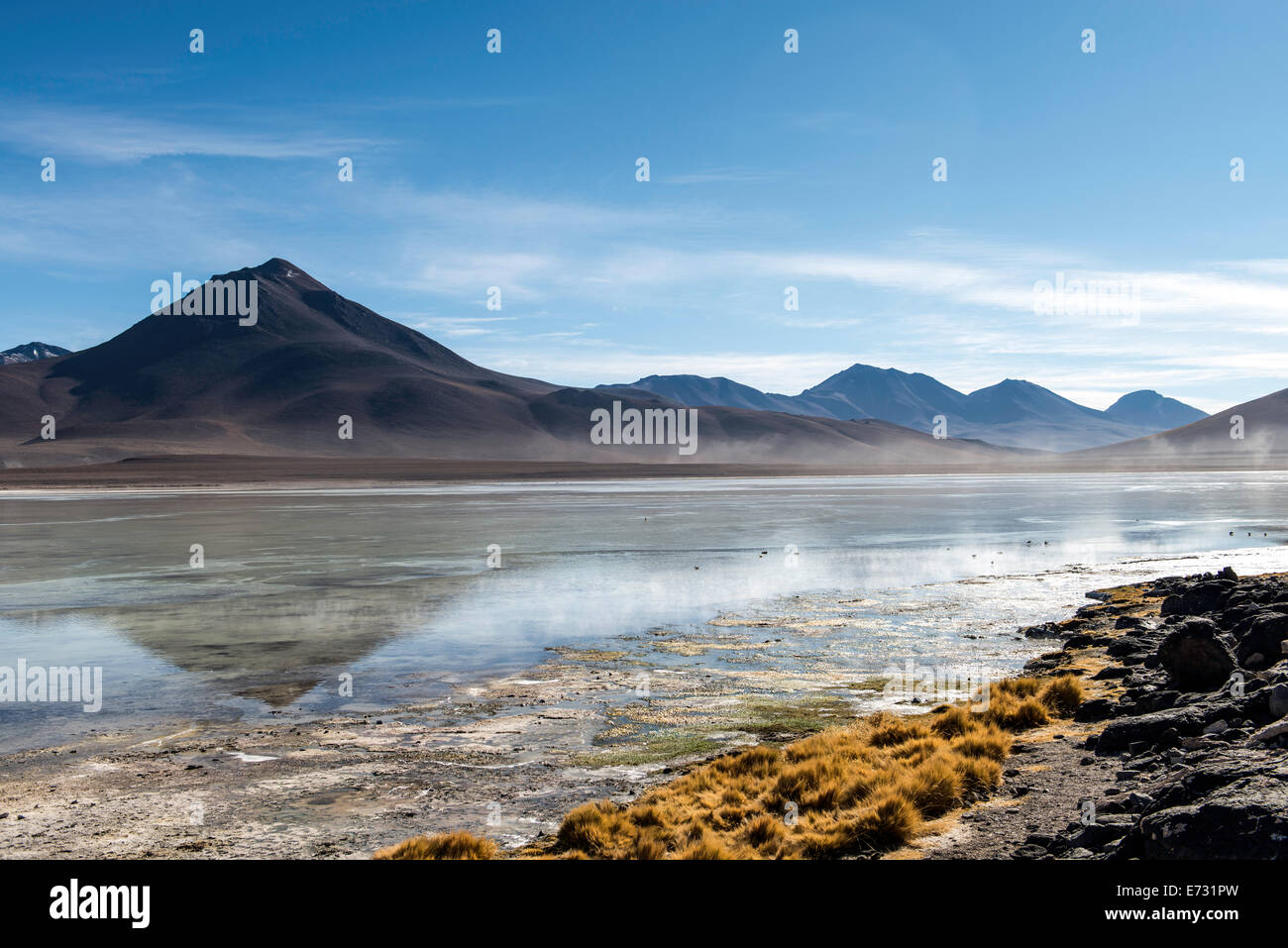 White lagoon (laguna blanca) Boliva, South America Stock Photo