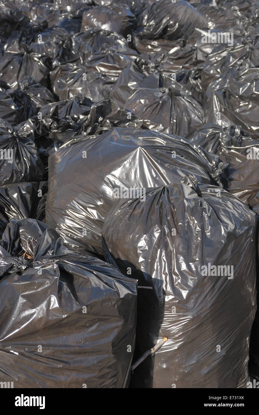 https://c8.alamy.com/comp/E731XK/pile-of-black-garbage-bags-with-tons-of-trash-E731XK.jpg