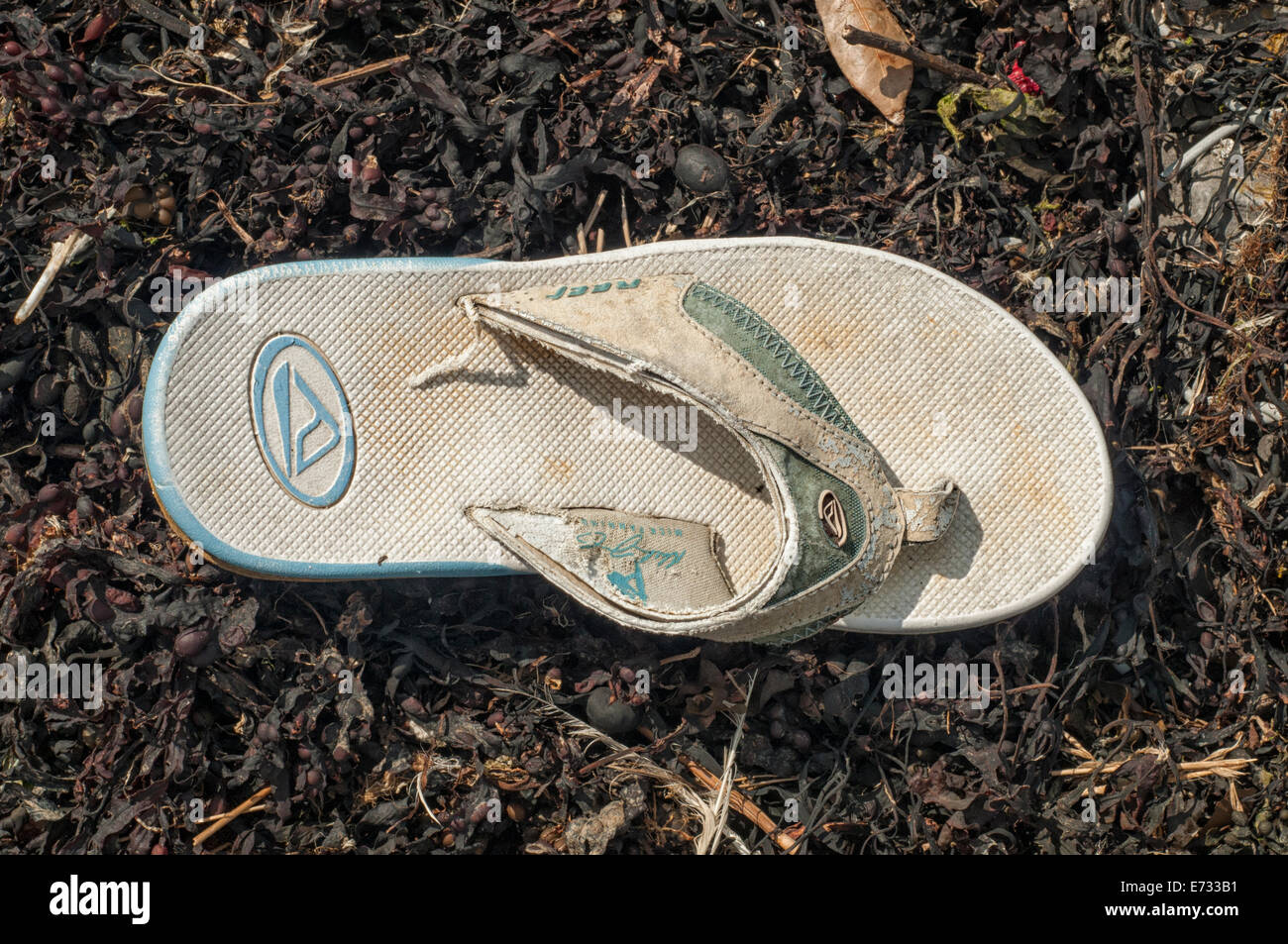 old flip flop