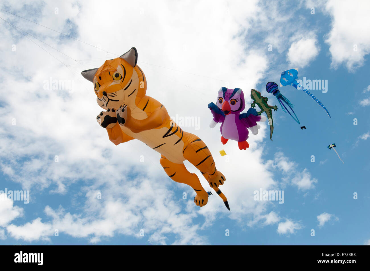 Portsmouth International Kite Festival, tiger Stock Photo