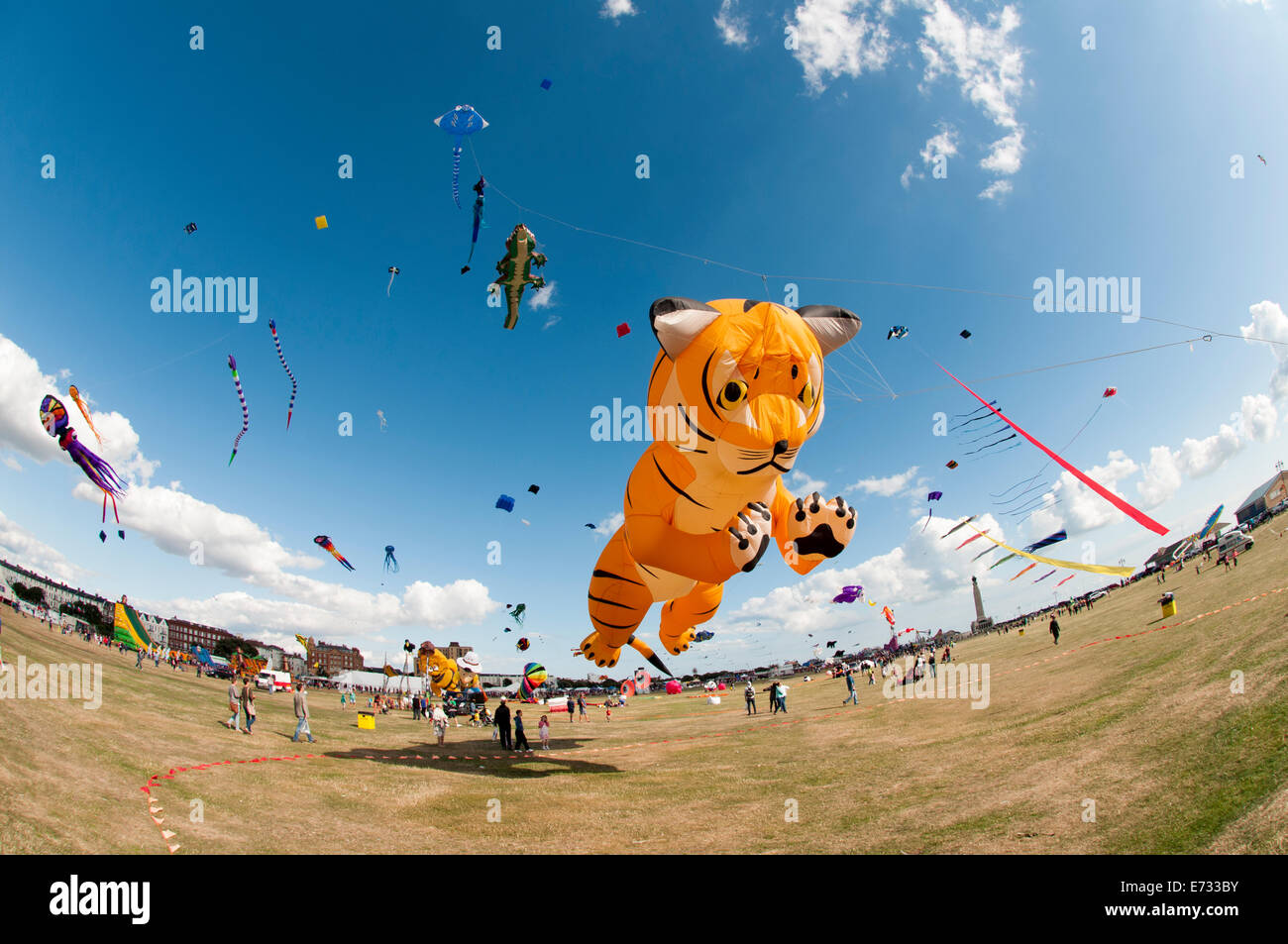 Portsmouth International Kite Festival, tiger kite Stock Photo