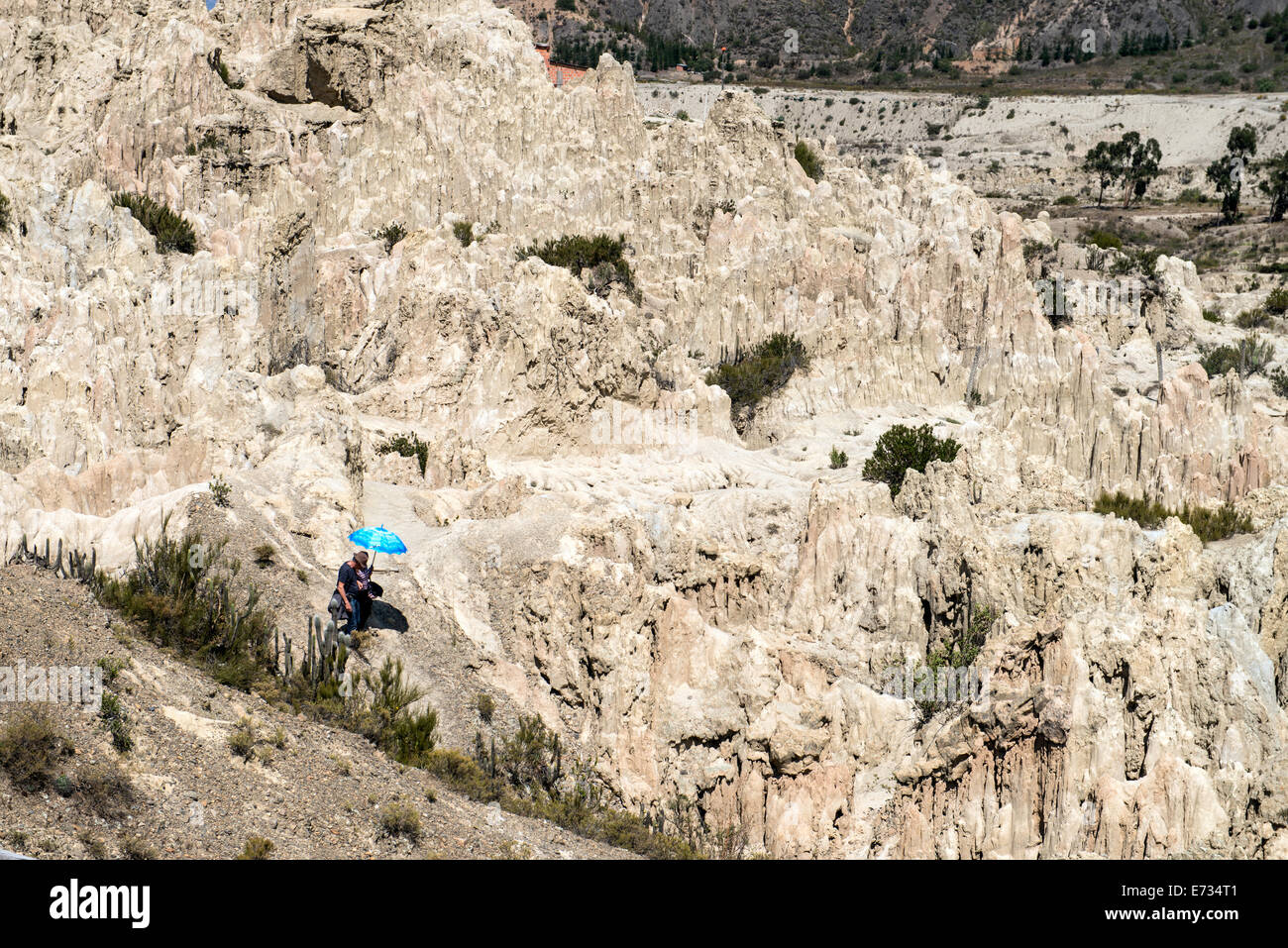 Tourists walking across a geological rock formations at the Valley of the Moon (Valle de la Luna) Pedro Domingo Murillo Province Stock Photo