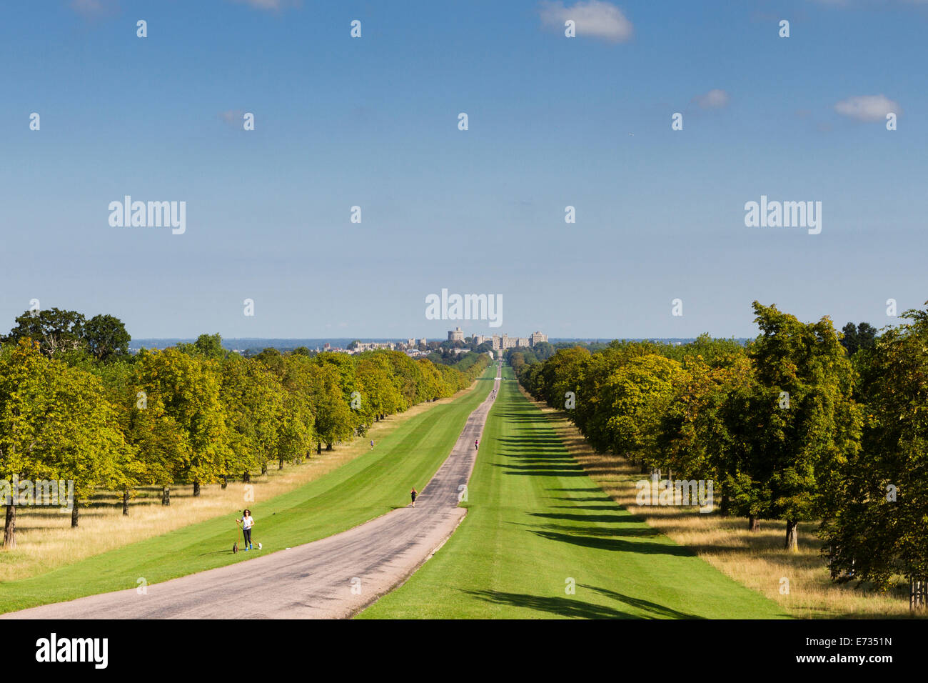 The Long Walk, Windsor Great Park, Berkshire, England, UK Stock Photo Alamy