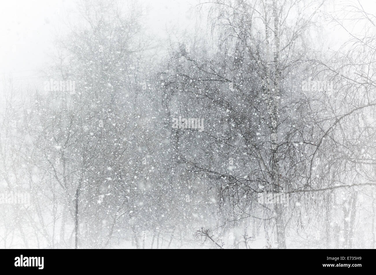 Barely visible hi-res stock photography and images - Alamy