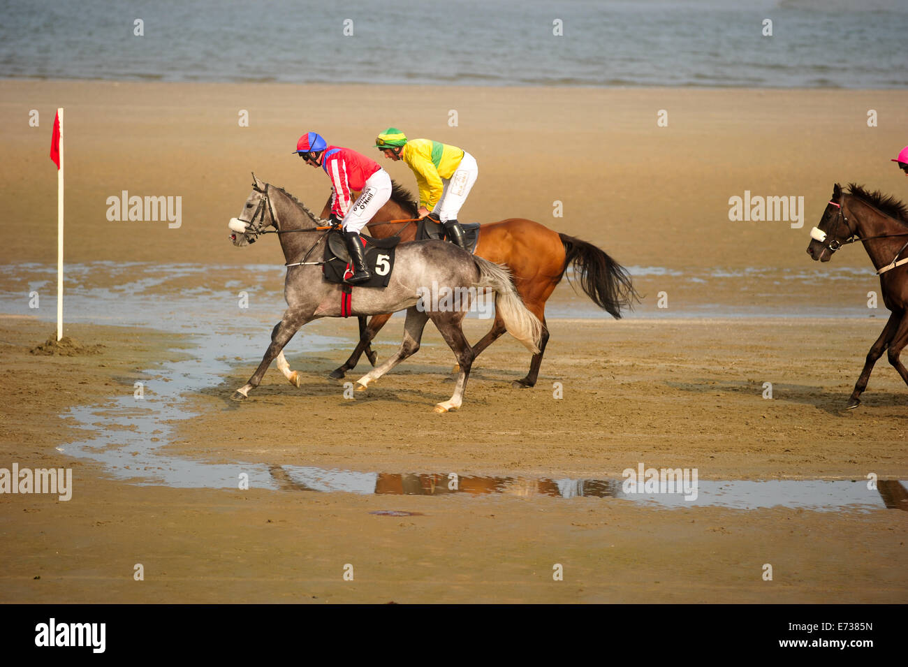 Laytown Strand Races, Laytown County Meath, Ireland. 4th September ...