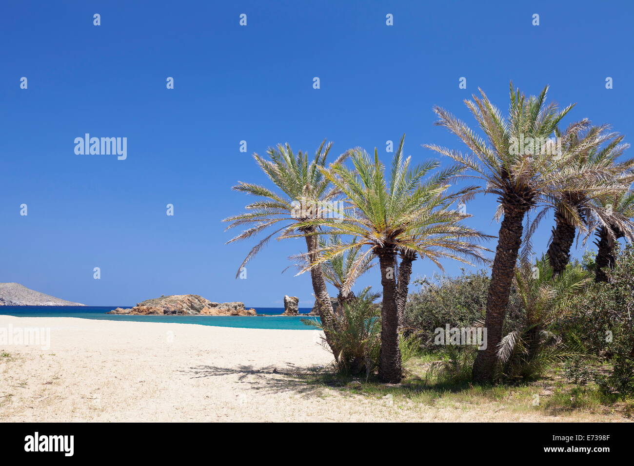 Beach and Palm Tree Forest, Vai, Lasithi, Eastern Crete, Crete, Greek