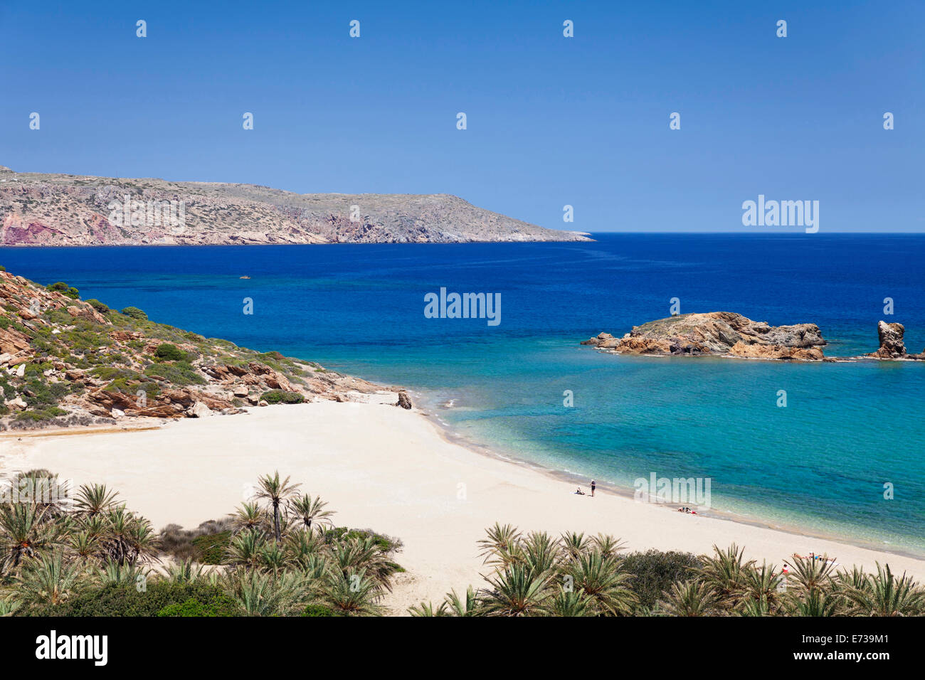 Beach and palm tree forest, Vai, Lasithi,  Eastern Crete, Crete, Greek Islands, Greece, Europe Stock Photo