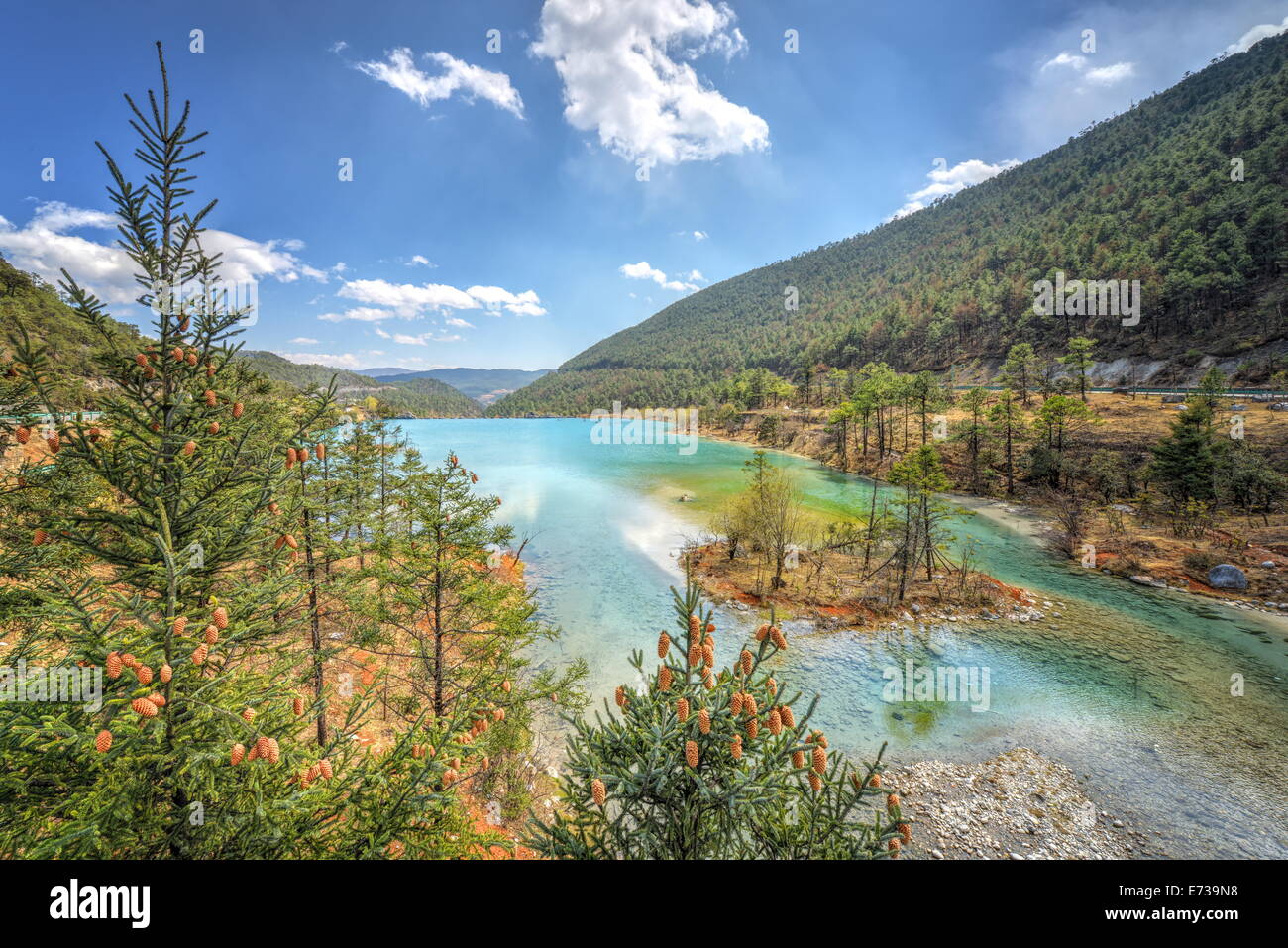 White Water River and pine trees, 25km north of Lijiang., Yunnan, China, Asia Stock Photo