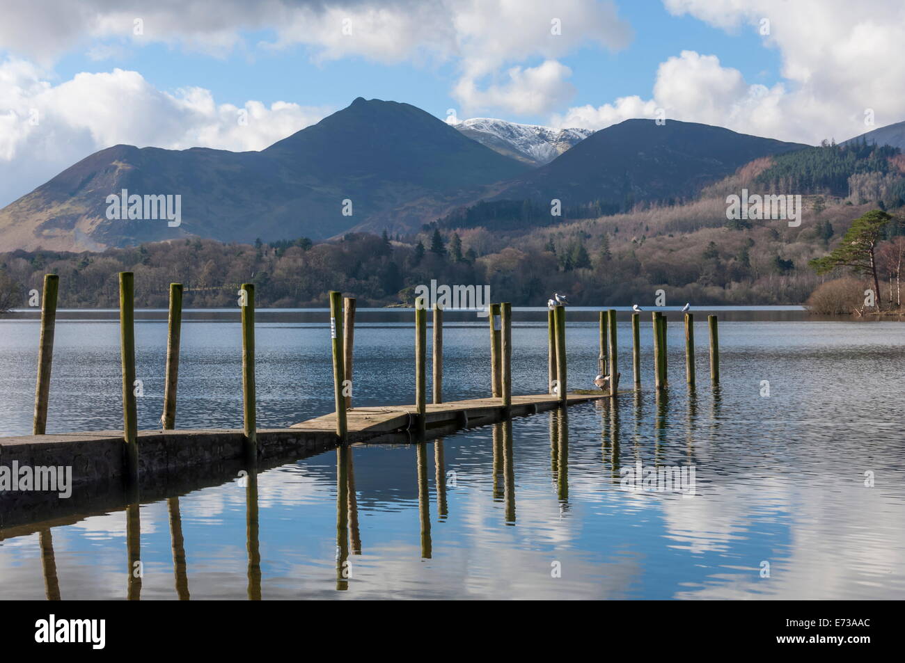 Lake Derwentwater, Barrow and Causey Pike, North Lakeland, Lake