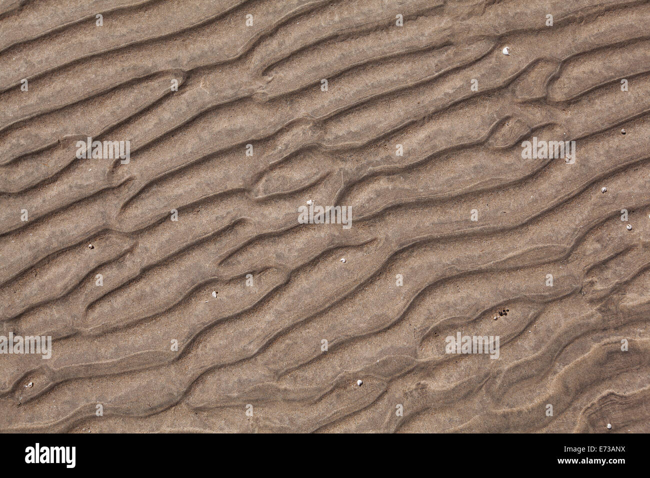 Pattern Of The Sandy Ocean Floor At Low Tide Stock Photo 73218374