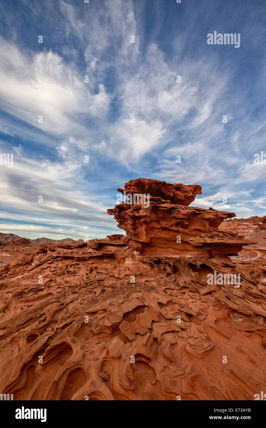 Red sandstone with three-dimensional erosion forms, Gold Butte, Nevada, United States of America, North America Stock Photo