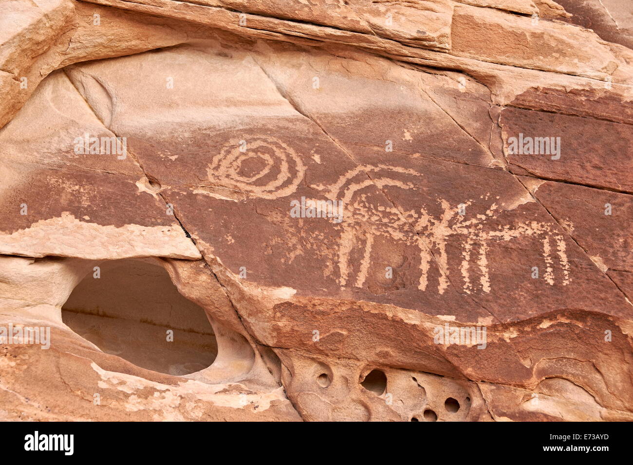 Bighorn sheep and symbol petroglyphs, Gold Butte, Nevada, United States of America, North America Stock Photo
