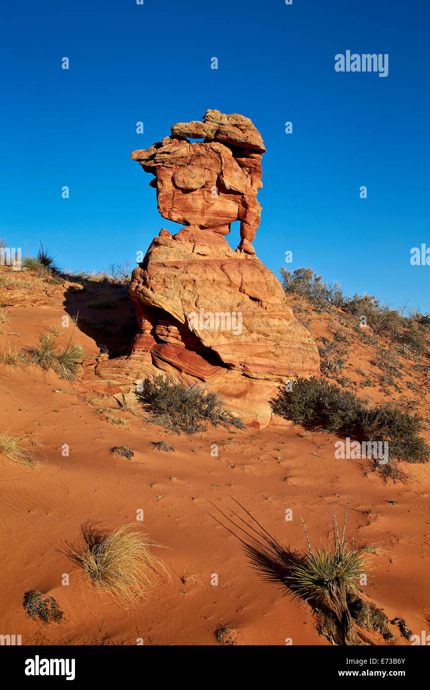 Sandstone formation, Coyote Buttes Wilderness, Vermilion Cliffs National Monument, Arizona, United States of America Stock Photo