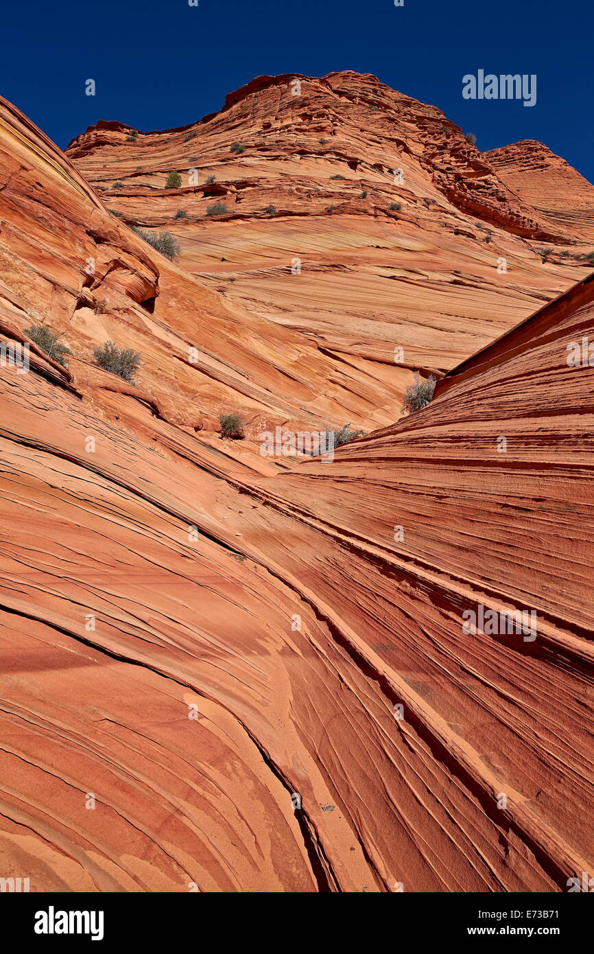 Layered sandstone, Coyote Buttes Wilderness, Vermilion Cliffs National Monument, Arizona, United States of America Stock Photo