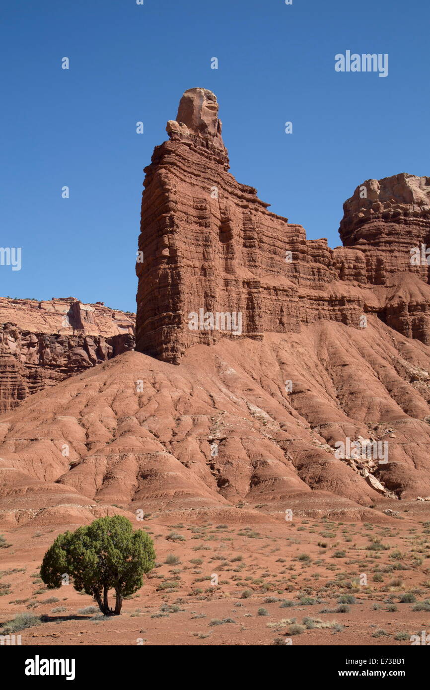 Layered sandstone formation, Capitol Reef National Park, Utah, United States of America, North America Stock Photo