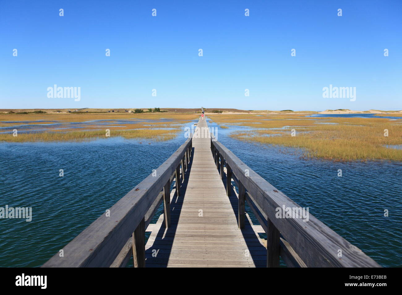 Boardwalk, Salt Marsh, Sandwich, Cape Cod, Massachusetts, New England, United States of America, North America Stock Photo