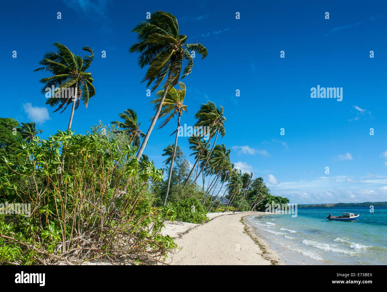 Palm fringed white sand beach on an islet of Vavau, Vavau Islands ...
