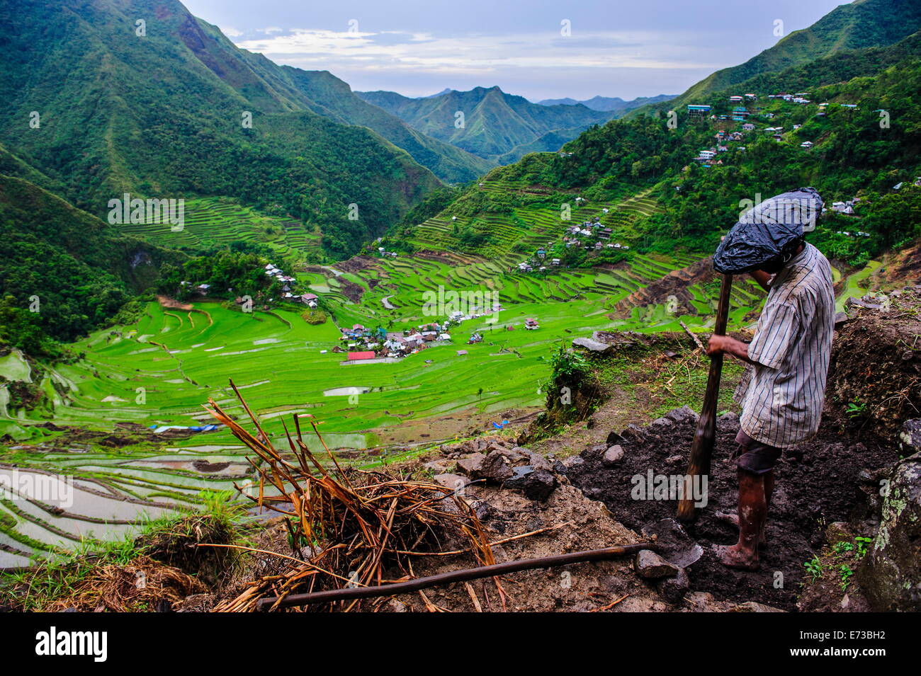 Man working in the Batad rice terraces, part of the UNESCO World Heritage Site of Banaue, Luzon, Philippines, Southeast Asia Stock Photo