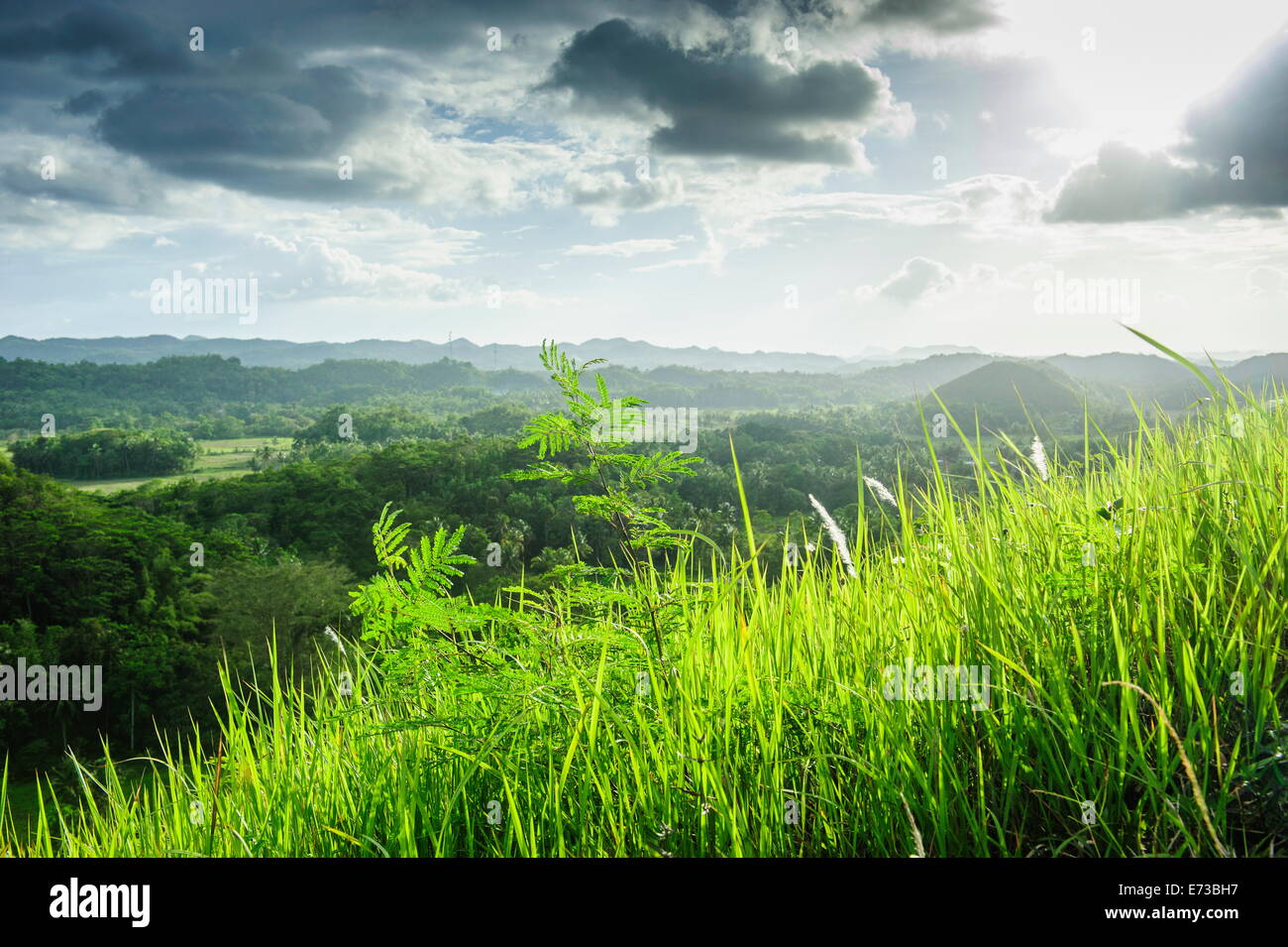 Chocolate Hills, Bohol, Philippines, Southeast Asia, Asia Stock Photo Alamy