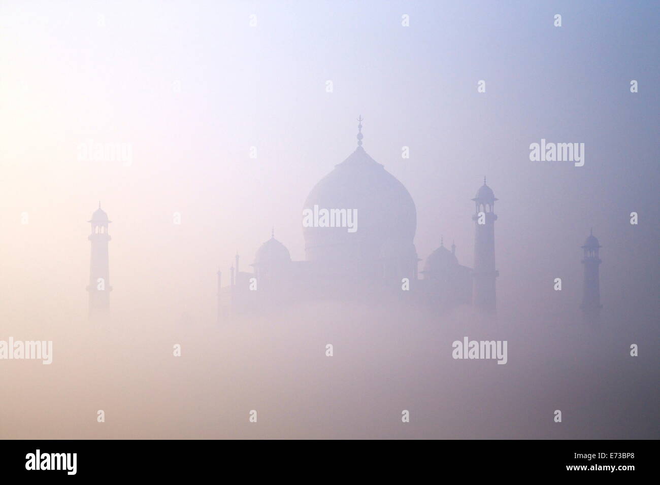 Taj Mahal at dawn, UNESCO World Heritage Site, Agra, Uttar Pradesh, India, Asia Stock Photo