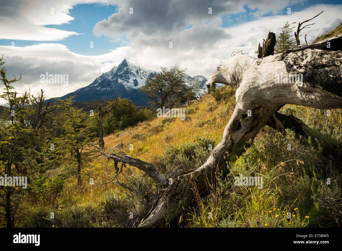Torres del Paine National Park, Patagonia, Chile, South America Stock Photo