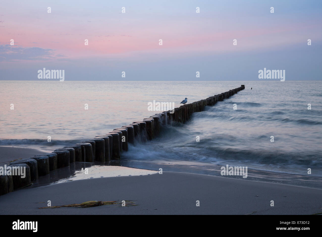 Groynes on the Baltic coast Stock Photo