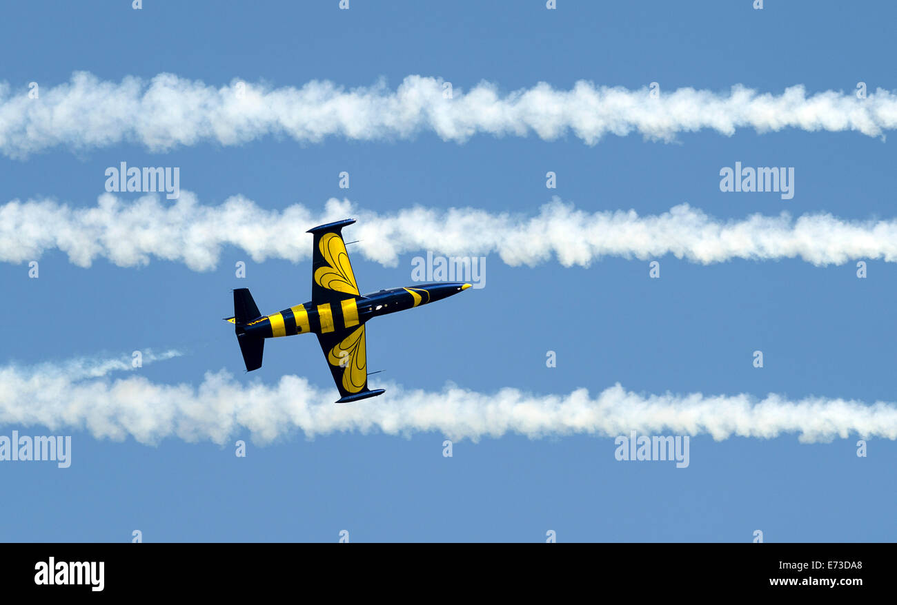 Baltic bees aero l 39 albatros hi-res stock photography and images - Alamy