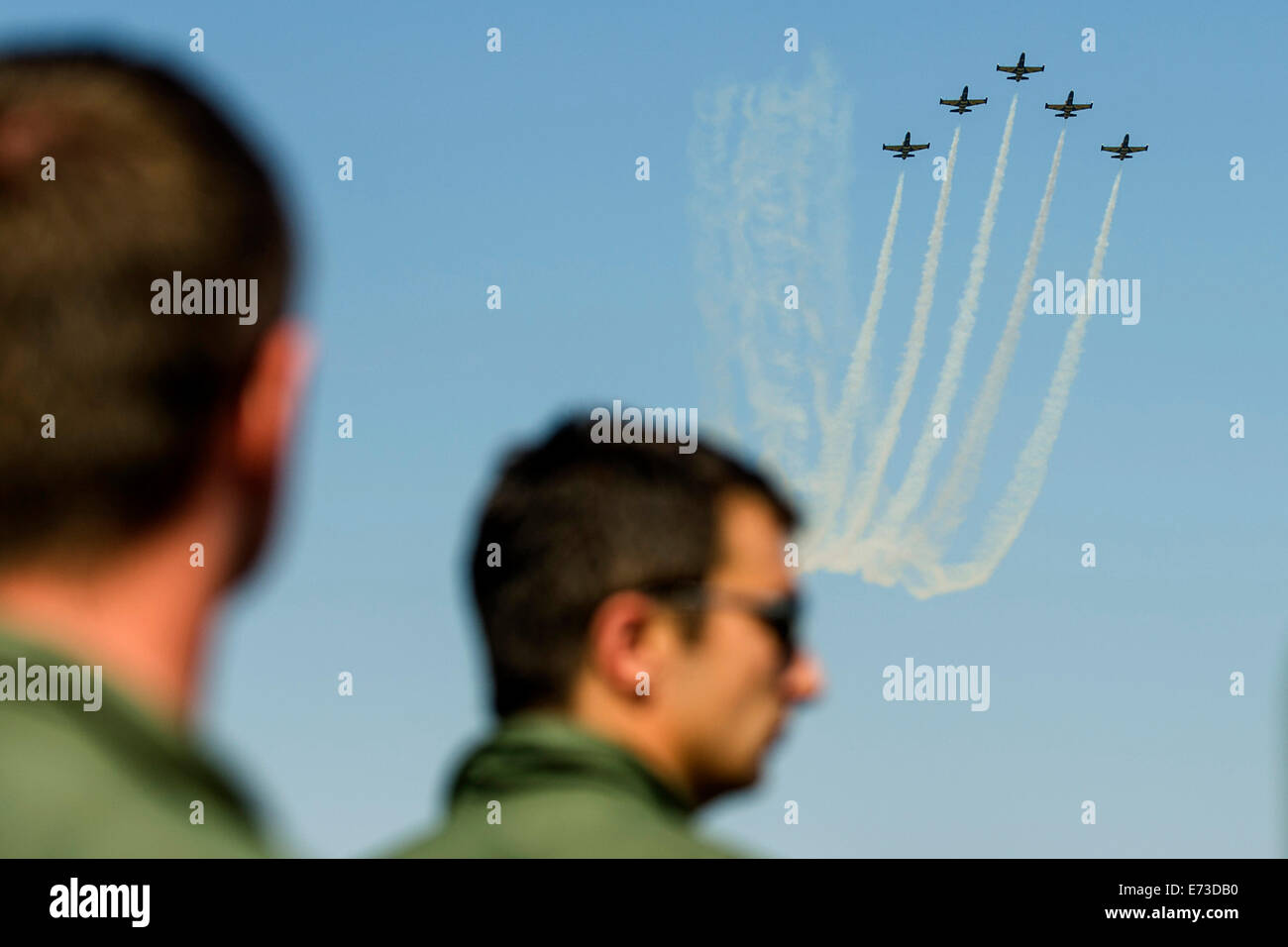 Baltic bees aero l 39 albatros hi-res stock photography and images - Alamy