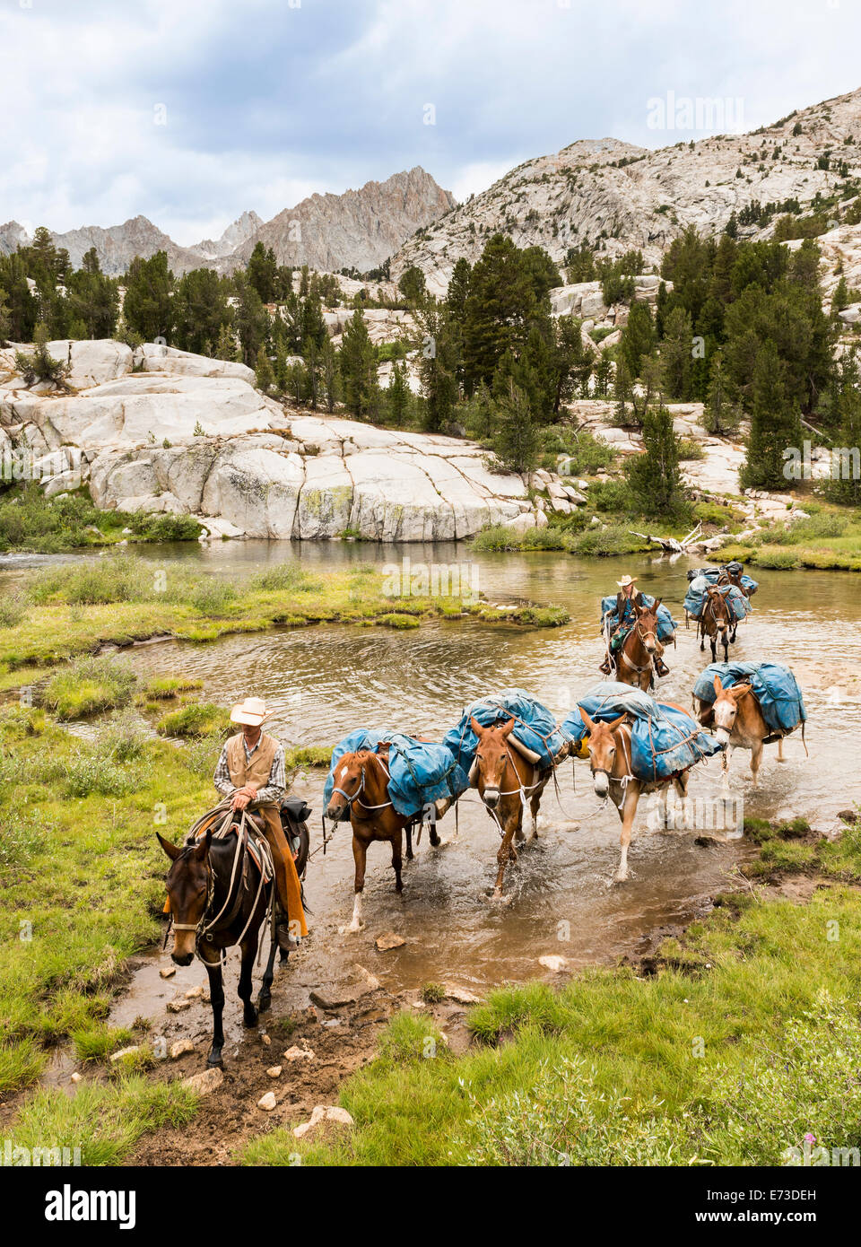 Horse Packers lead a pack train across a stream Stock Photo
