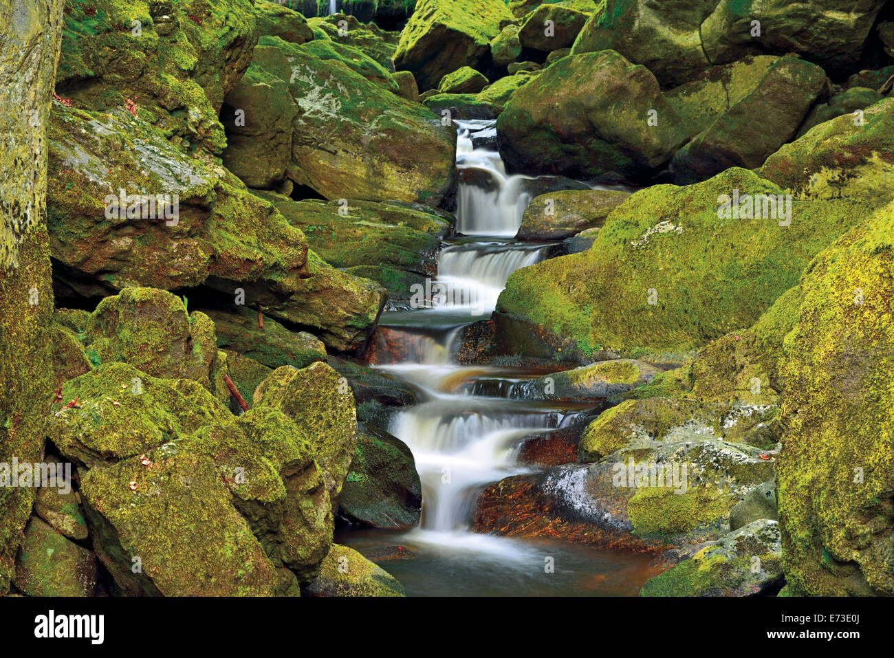 Germany, Bavaria, National Park Bavarian Forest, Nature Park Bavarian Forest, canyon, flume, water, sweet water, forest, nature, horizontal, moss covered rocks, rocks, stones, geology, Stock Photo