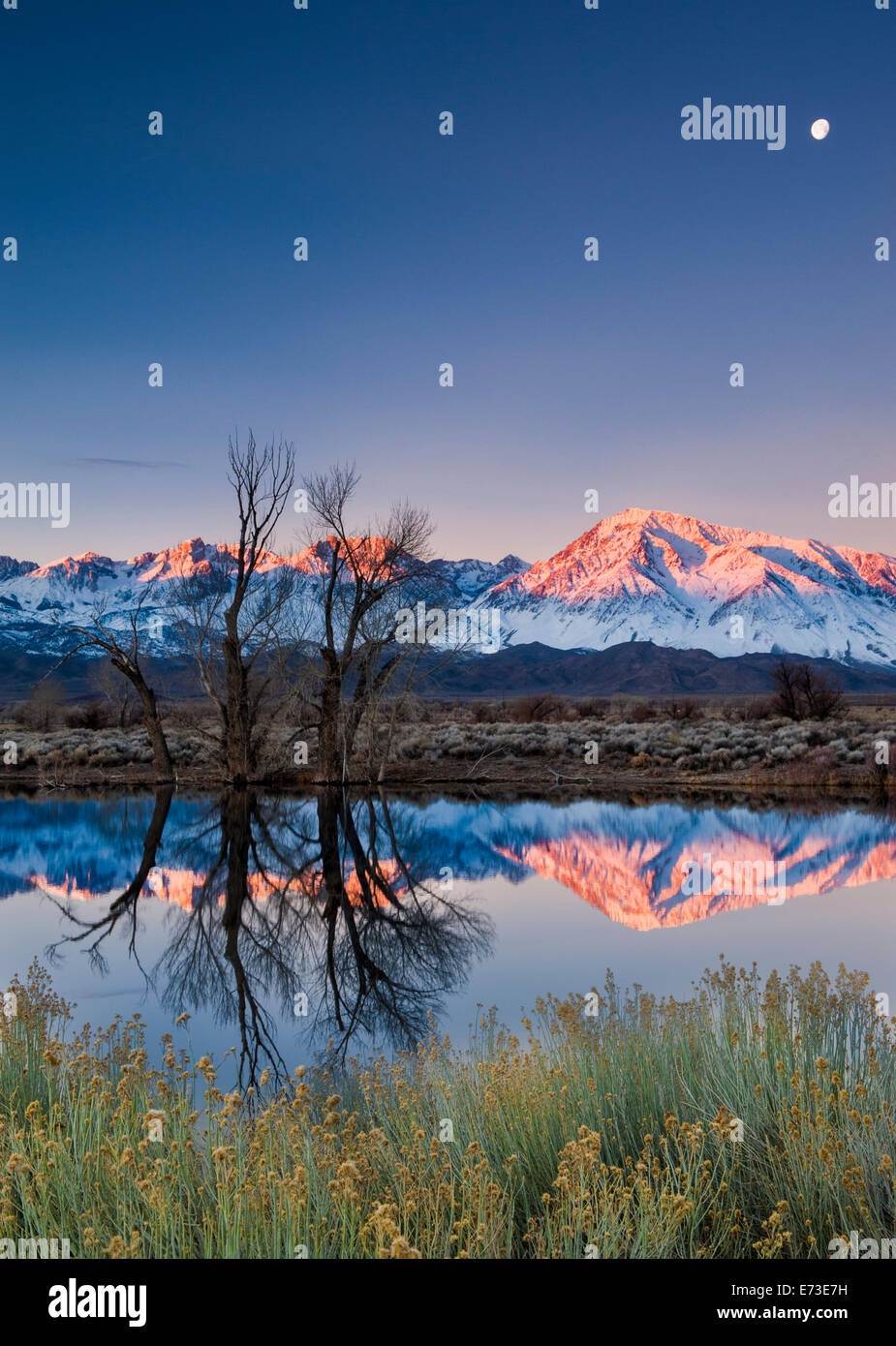 Full moon and mountains reflected in an Eastern Sierra pond at sunrise Stock Photo