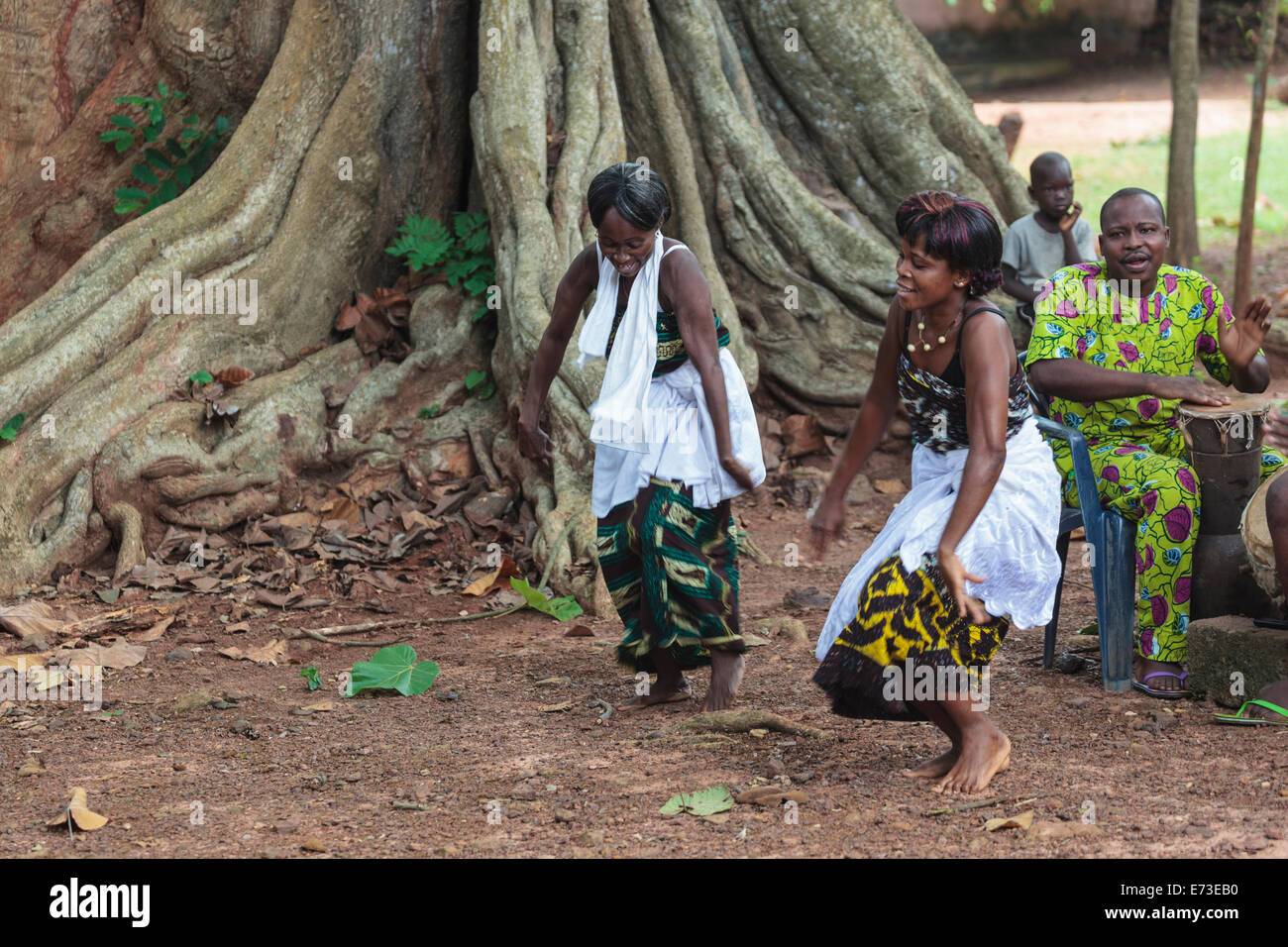 Africa, Benin, Ouidah. Local women performing traditional voodoo dance in front of iroko tree in Kpasse Sacred Forest. Stock Photo