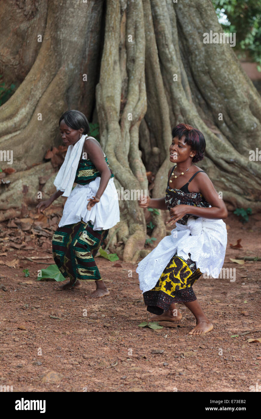 Africa, Benin, Ouidah. Local women performing traditional voodoo dance in front of iroko tree in Kpasse Sacred Forest. Stock Photo