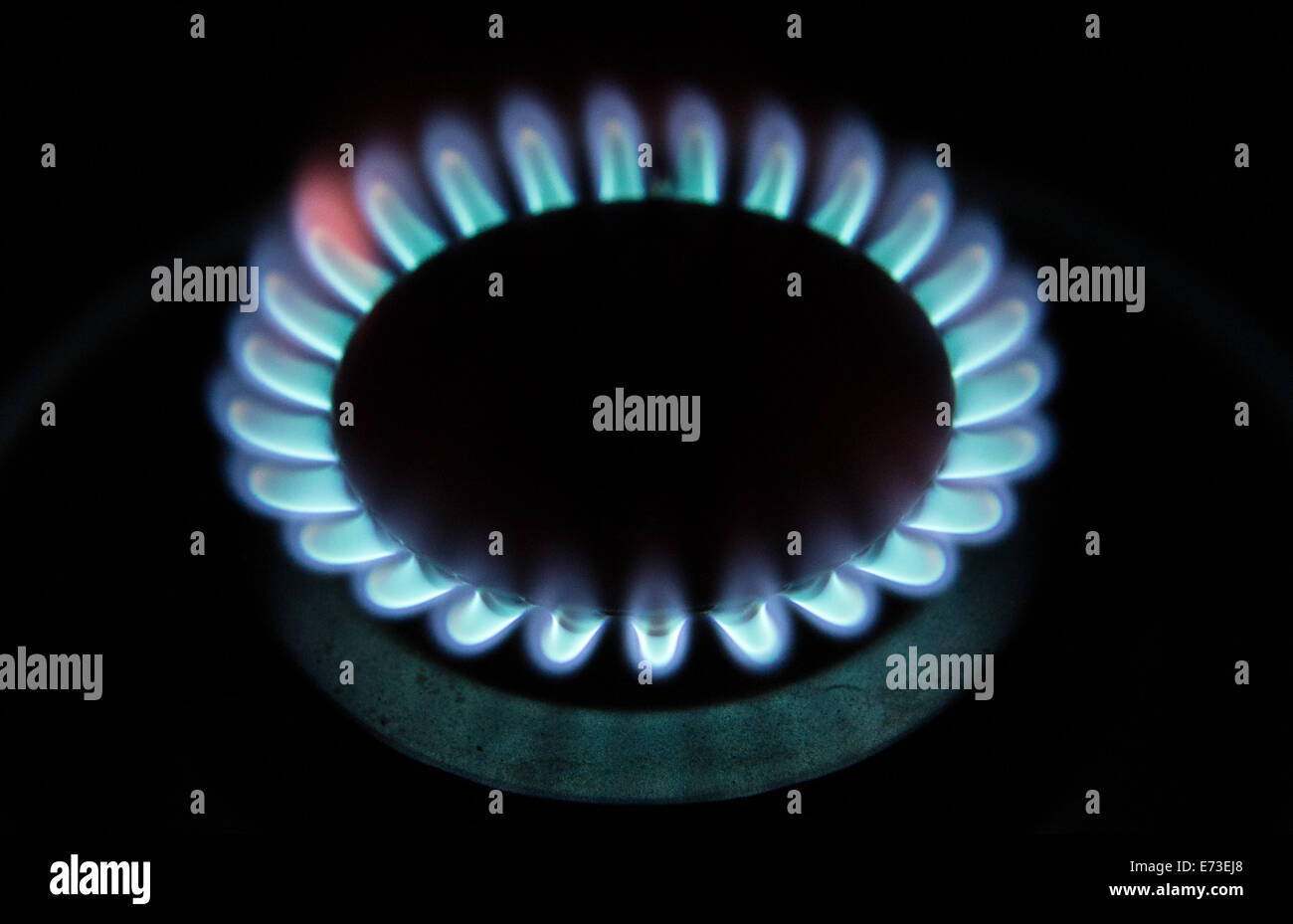 The flame of a gas cooker, 28 August 2014 in Hamburg Stock Photo Alamy