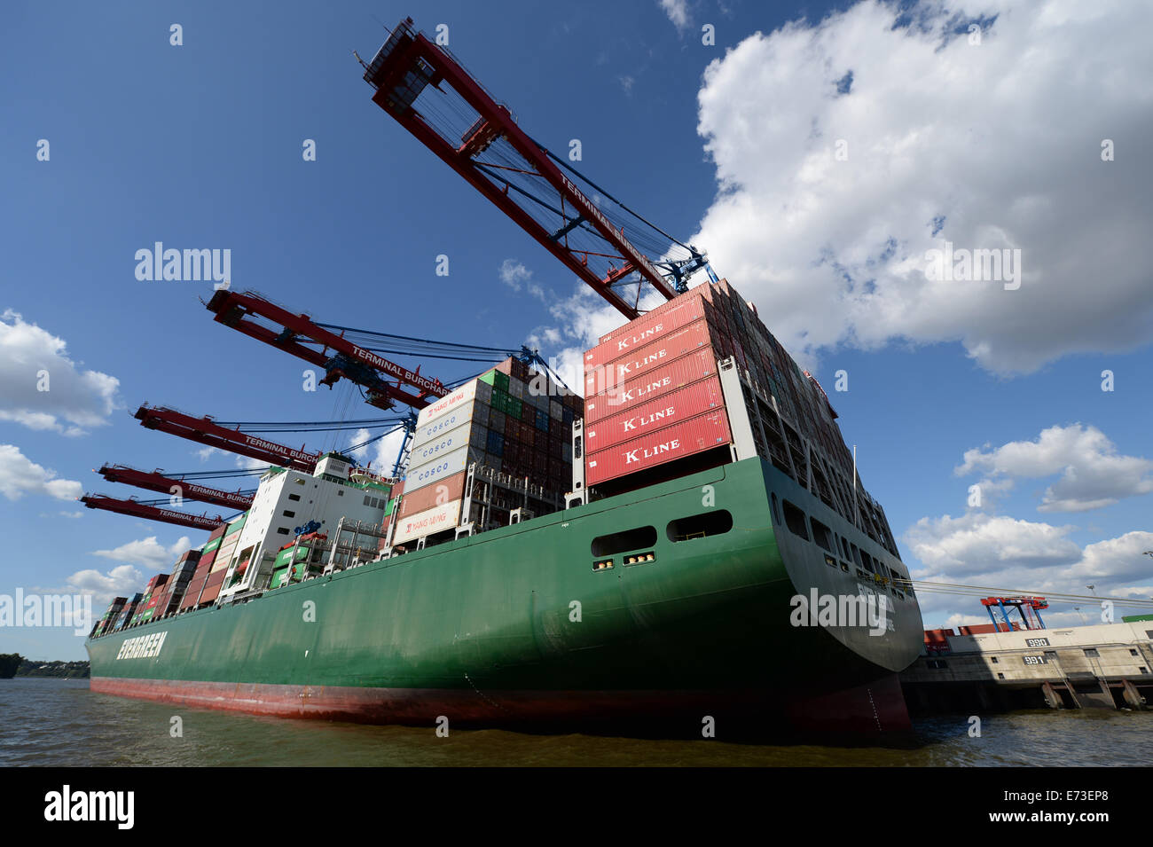 The container ship Ever Legion docks in the port of Hamburg, 27 August 2014. Stock Photo
